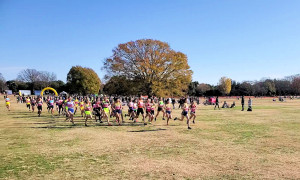 みんなの原っぱ